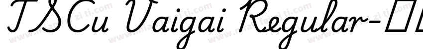 TSCu Vaigai Regular字体转换
